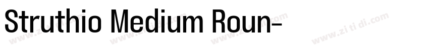Struthio Medium Roun字体转换